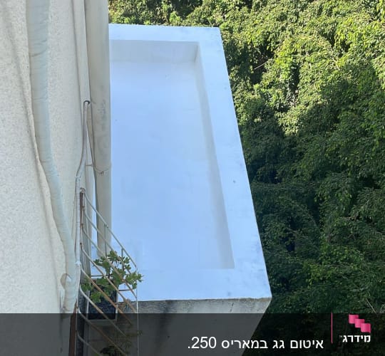 איטום גג עם ציפוי לבן ליד צמחייה ירוקה